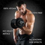 Mediciner.in - DR. VAIDYA'S new age ayurveda Herbobuild | Ayurvedic Muscle & Mass Gainer Capsules | Lean Mass Gainer | Improves Stamina & Strength | 2025 DR VAIDYAS new age ayurveda Herbobuild Pack of 1 30 capsules Ayurvedic Muscle Mass Gainer Capsules Muscle Protein Synthesis Lean Mass Gainer Improved Stamina Strength 0 4 2025