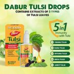Mediciner.in - Dabur Tulsi Drops : 30ml (20ml + 10ml Free) - Boosts Immunity ~ Cough & Cold Relief ~ Builds Respiratory Health | 2025 Dabur Tulsi Drops 30ml 20ml 10ml Free Contains Extracts of 5 Rare Tulsi Boosts Immunity Cough And Cold Relief 100 Ayurvedic Builds Respiratory Health 0 1 2025