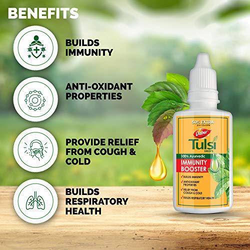 Dabur-Tulsi-Drops-30ml-20ml-10ml-Free-Contains-Extracts-of-5-Rare-Tulsi-Boosts-Immunity-Cough-And-Cold-Relief-100-Ayurvedic-Builds-Respiratory-Health-0-2 Dabur Tulsi Drops 30ml 20ml 10ml Free Contains Extracts of 5 Rare Tulsi Boosts Immunity Cough And Cold Relief 100 Ayurvedic Builds Respiratory Health 0 2 2025