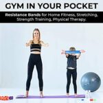 Mediciner.in - Easy Shop Fitness Revolution Fabric Resistance Loop Hip Band for Hip, Legs, Stretching, Toning Workout. Bands ( Pack of 3) | 2025 Easy Shop Fitness Revolution Fabric Resistance Loop Hip Band for Women Men for Hip Legs Stretching Toning Workout Bands Pack of 3 0 3 2025