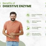 Mediciner.in - Himalayan Organics Digestive Enzyme with Bromelain & Papain Supplement | Supports Digestion and Better Absorption of Nutrients - Pack of 90 Tablets | 2025 Himalayan Organics Digestive Enzyme with Bromelain Papain Supplement Supports Digestion and Better Absorption of Nutrients Health Management Pack of 90 Tablets 0 2 2025