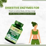 Mediciner.in - Himalayan Organics Digestive Enzyme with Bromelain & Papain Supplement | Supports Digestion and Better Absorption of Nutrients - Pack of 90 Tablets | 2025 Himalayan Organics Digestive Enzyme with Bromelain Papain Supplement Supports Digestion and Better Absorption of Nutrients Health Management Pack of 90 Tablets 0 4 2025