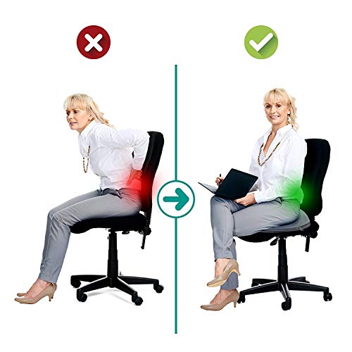 OBLIQ-Premium-Donut-Orthopedic-High-Density-Seat-Cushion-Relieves-Piles-Lower-Back-Pain-Coccyx-Sciatica-used-in-Office-Chairs-Car-Seat-Black-Foam-pack-of-1-0-1 OBLIQ Premium Donut Orthopedic High Density Seat Cushion Relieves Piles Lower Back Pain Coccyx Sciatica used in Office Chairs Car Seat Black Foam pack of 1 0 1 2025