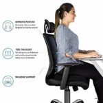 Mediciner.in - OBLIQ Premium Donut Orthopedic High Density Seat Cushion - Relieves Piles, Lower Back Pain, Coccyx, Sciatica - Black, Foam, Pack of 1 | 2025 OBLIQ Premium Donut Orthopedic High Density Seat Cushion Relieves Piles Lower Back Pain Coccyx Sciatica used in Office Chairs Car Seat Black Foam pack of 1 0 2 2025