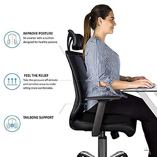 OBLIQ-Premium-Donut-Orthopedic-High-Density-Seat-Cushion-Relieves-Piles-Lower-Back-Pain-Coccyx-Sciatica-used-in-Office-Chairs-Car-Seat-Black-Foam-pack-of-1-0-2 OBLIQ Premium Donut Orthopedic High Density Seat Cushion Relieves Piles Lower Back Pain Coccyx Sciatica used in Office Chairs Car Seat Black Foam pack of 1 0 2 2025