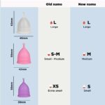 Mediciner.in - PEESAFE Reusable Menstrual Cup for Women with Pouch | Ultra Soft, Odour & Rash Free -No Leakage + Protection for Up to 8-10 Hours | US FDA Registered | 2025 PEESAFE Reusable Menstrual Cup for Women Medium Size with Pouch Ultra Soft Odour Rash Free100 Medical Grade SiliconeNo LeakageProtection for Up to 8 10 Hours US FDA RegisteredPack of 1 0 1 2025