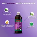 Mediciner.in - Vansaar Karela & Jamun Juice | Blood sugar level management | Suitable for diabetes & prediabetes care - 1L | 2025 Vansaar Karela Jamun Juice 1L Blood sugar level management Suitable for diabetes prediabetes care 0 4 2025