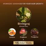Mediciner.in - Vansaar Maha Bhringraj Hair Oil for Hairfall Control | 4X More Bhringa, 4X More Effective | With Comb Applicator | Anti- Dandruff, Anti-Grey Hair oil - 200ml | 2025 Vansaar Maha Bhringraj Hair Oil 200ml Maha Bhringa Hair Oil for Hairfall Control 4X More Bhringa 4X More Effective With Comb Applicator Anti Dandruff Anti Grey Hair oil 0 2 2025