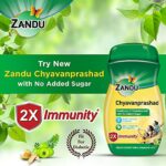 Zandu Chyavanprashad 900g Sugarfree Chyawanprash with Amla Ashwagandha Shilajit 2X Immunity Builds Energy and Stamina 0 1 2025
