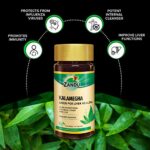 Mediciner.in - Zandu Kalamegha: An Ayurvedic Formula for Supporting Liver Functions | Helps Protect Against Cold & Cough - Maintains Overall Health & Well-being | 2025 Zandu Kalamegha An Ayurvedic Formula for Supporting Liver Functions Helps Protect Against Cold Cough and Acts as an Immunity Booster Maintains Overall Health Well being 0 1 2025