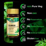 Mediciner.in - Zandu Kalamegha: An Ayurvedic Formula for Supporting Liver Functions | Helps Protect Against Cold & Cough - Maintains Overall Health & Well-being | 2025 Zandu Kalamegha An Ayurvedic Formula for Supporting Liver Functions Helps Protect Against Cold Cough and Acts as an Immunity Booster Maintains Overall Health Well being 0 2 2025